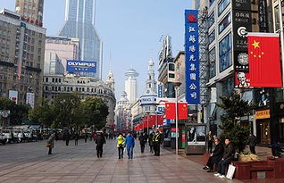 上海戶(hù)外廣告公共陣地拍賣(mài)與招標(biāo)政策的發(fā)展與研究